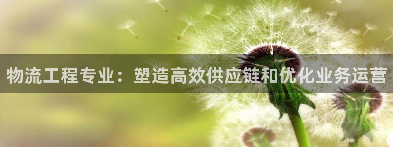 28圈链接来一个
