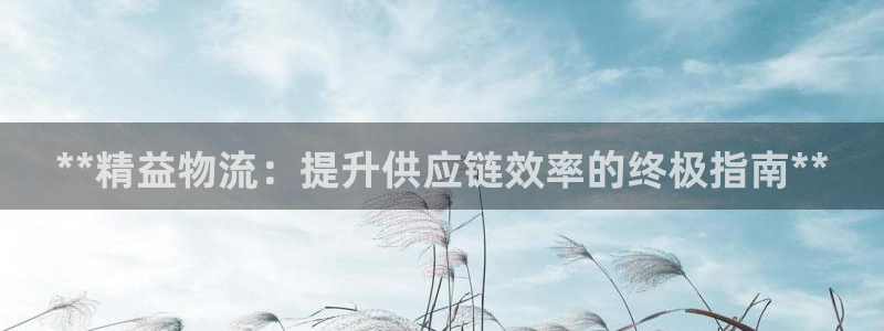 28圈激活码：**精益物流：提升供应