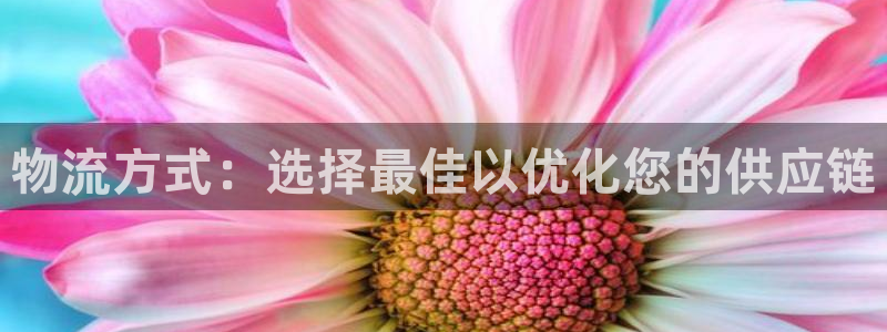 28圈在线预测官网