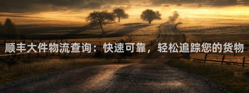28圈注册账号：顺丰大件物流查询：快