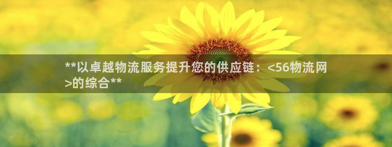 28圈登录用户名登录不上：**以卓越