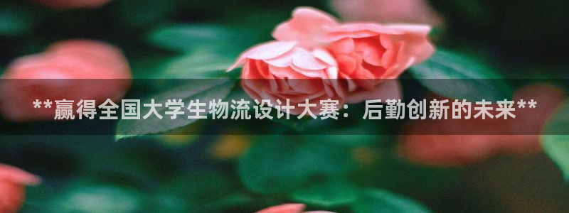 28圈口：**赢得全国大学生物流设计
