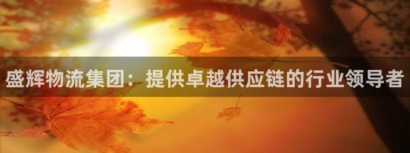 28圈注册问一问：盛辉物流集团：提供