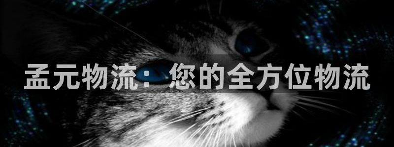 28圈官方