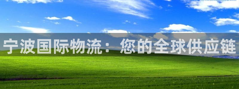 28圈充值不处理怎么办
