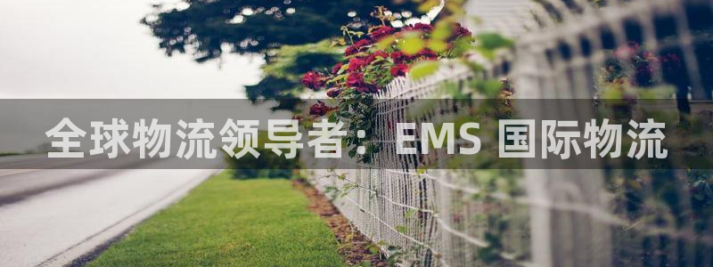 28圈aPP退款