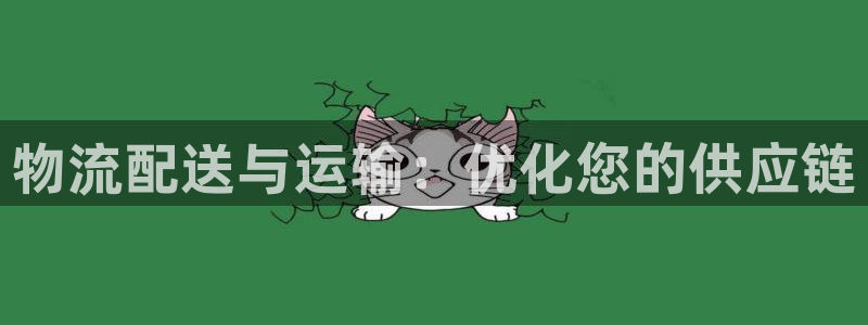 28圈充值方式：物流配送与运输：优化