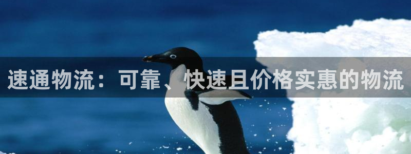 28圈官网版下载