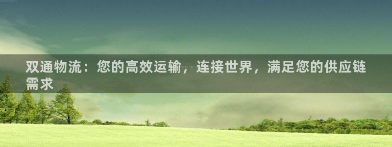 28圈pg麻将胡了：双通物流：您的高