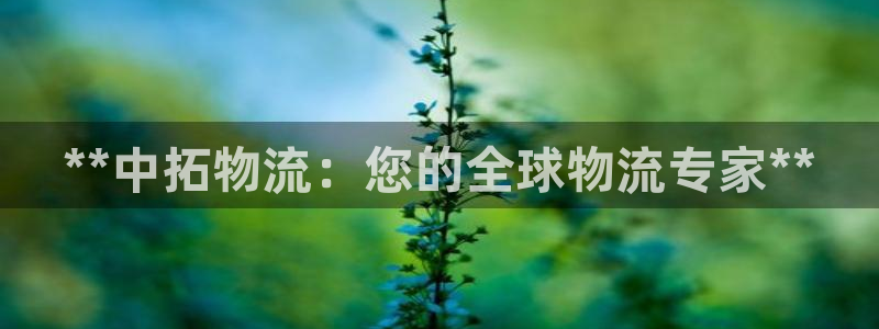 28圈游戏链接