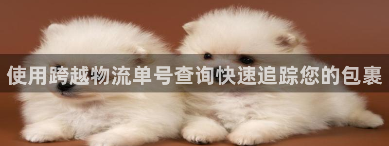 28圈.ccmpc29官网版下载