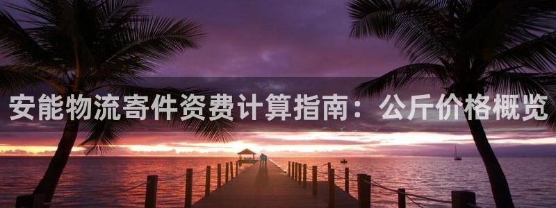 28圈pg麻将胡了：安能物流寄件资费