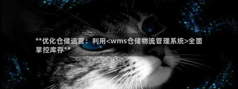 28圈模拟器在线玩：**优化仓储运营