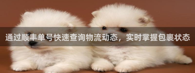 28圈预测加拿大