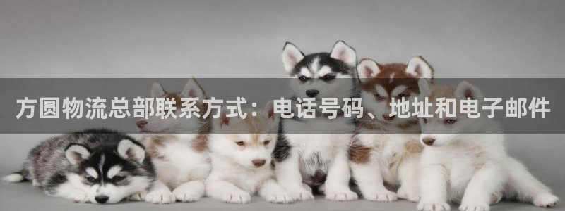 28圈充值不到账怎么办：方圆物流总部