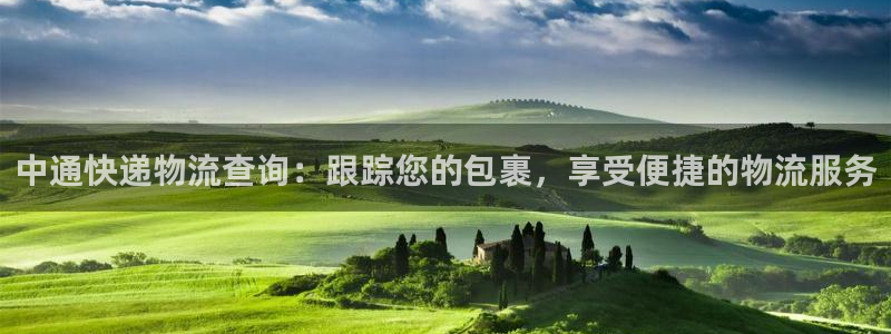 28圈注册登录链接：中通快递物流查询