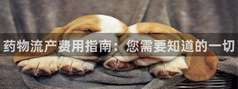 28圈加拿大28：药物流产费用指南：
