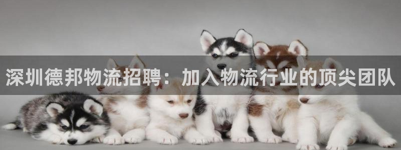 28圈注册账号：深圳德邦物流招聘：加