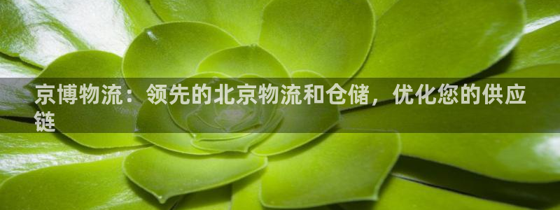 28圈稳吗：京博物流：领先的北京物流