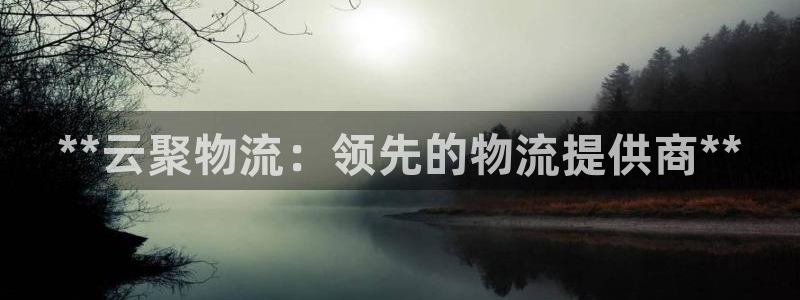 28圈链接：**云聚物流：领先的物流