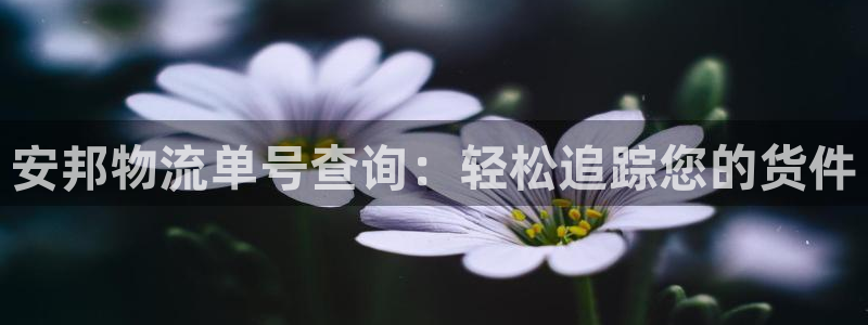 28圈是南宫旗下的吗：安邦物流单号查询：轻松追踪您的货件