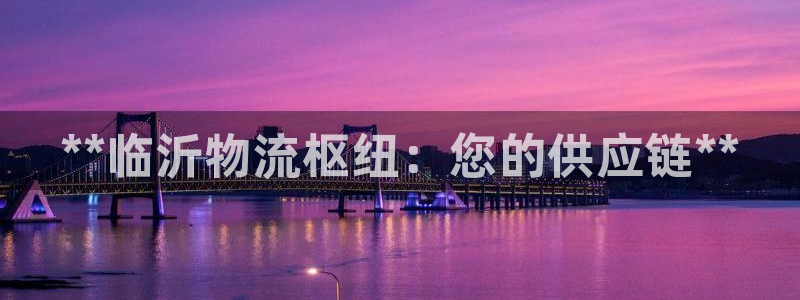 28圈加拿大官网：**临沂物流枢纽：