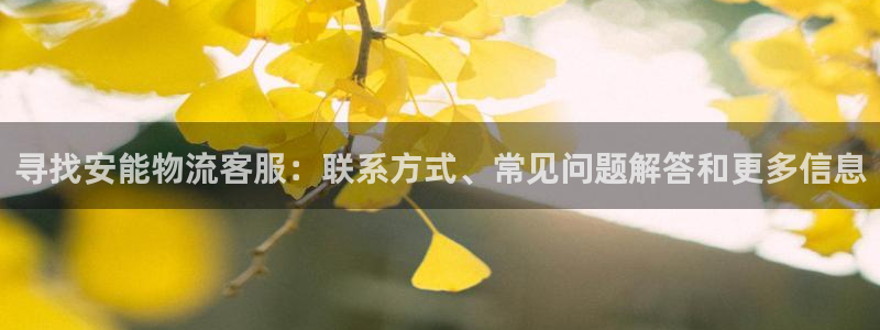 28圈.ccmpc预测：寻找安能物流