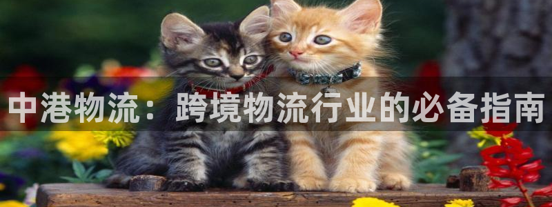 28圈注册与教程：中港物流：跨境物流