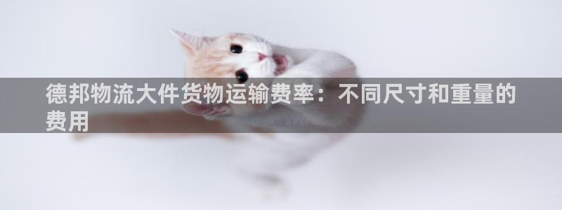 28圈注册网站链接：德邦物流大件货物