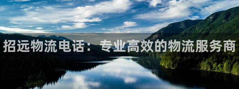 28圈百度百科：招远物流电话：专业高