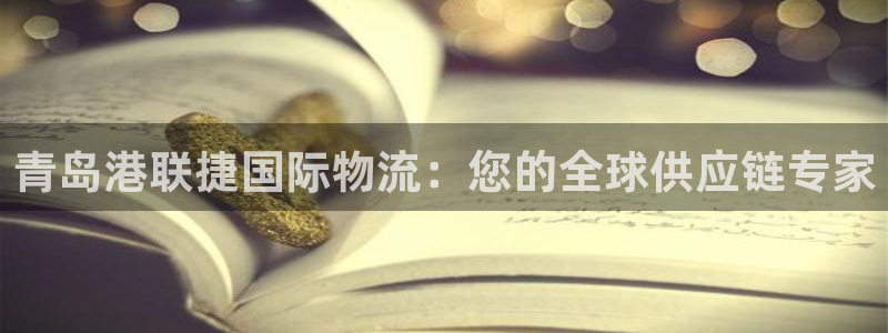 28圈官方：青岛港联捷国际物流：您的