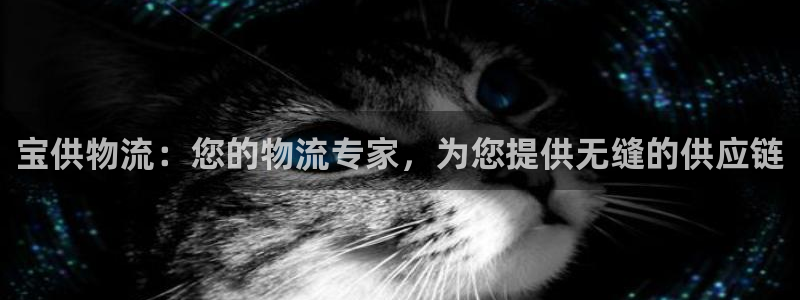 28圈加拿大是什么：宝供物流：您的物