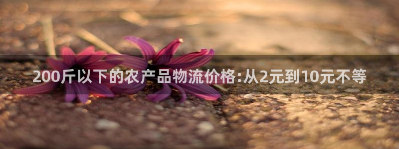 28圈注册官网