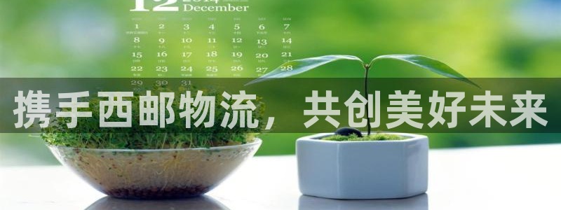 28圈是正规软件吗