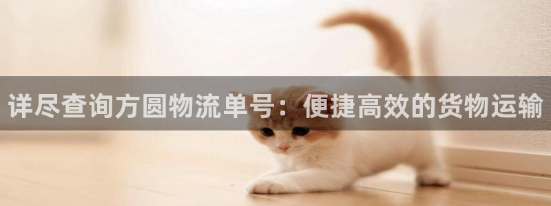 28圈模拟