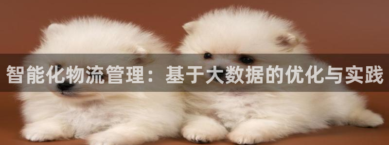 28圈怎么注册账号