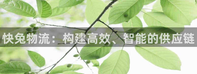 28圈网赌有什么风险