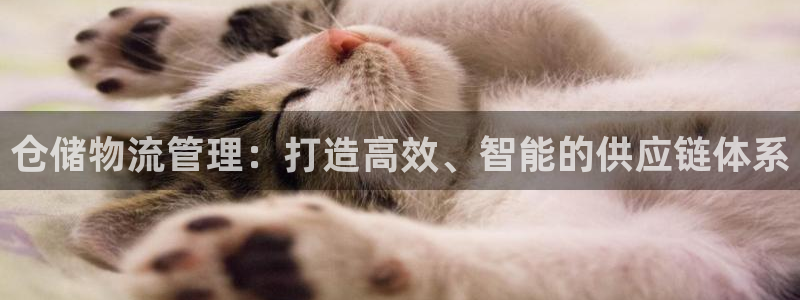 28圈.ccm正版