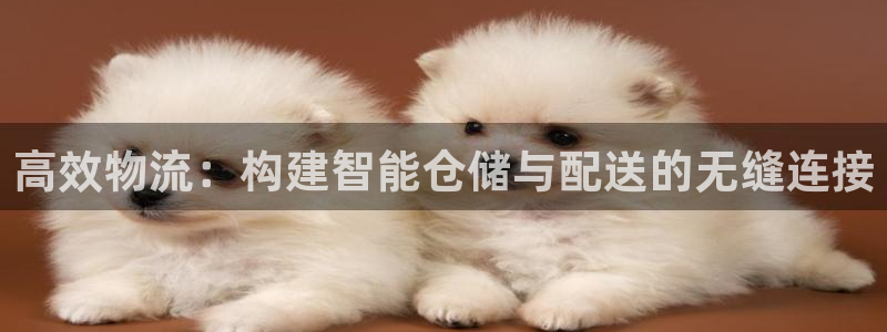 28圈取保