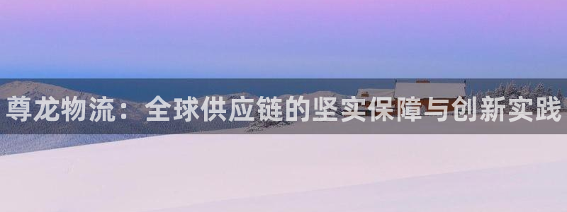 28圈娱乐官网网页：尊龙物流：全球供