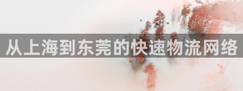 28圈龙虎：从上海到东莞的快速物流网
