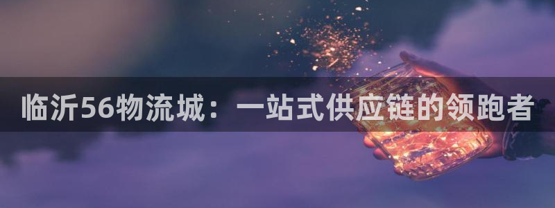 28圈怎么下载不了：临沂56物流城：