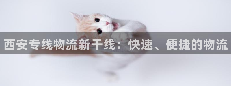 28圈百度百科：西安专线物流新干线：