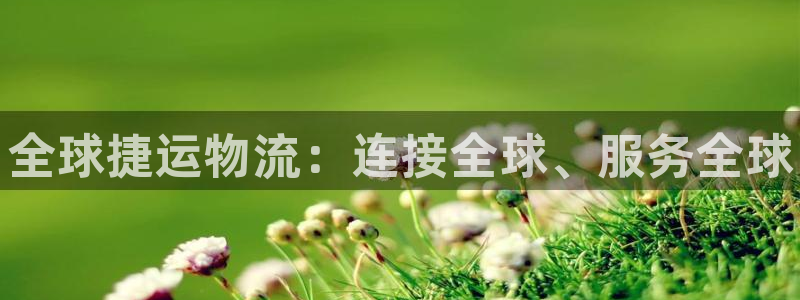 28圈登录流程：全球捷运物流：连接全