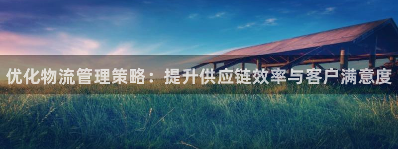 28圈官方平台：优化物流管理策略：提